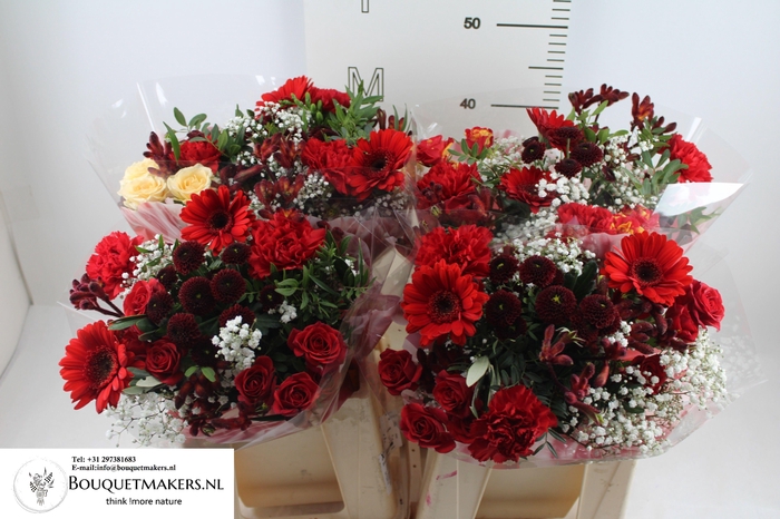 <h4>GEM BOEKET OV</h4>