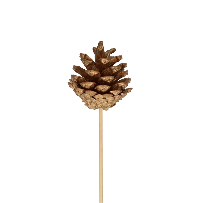 <h4>Kerst bijsteker 50cm Dennenappel 6cm</h4>