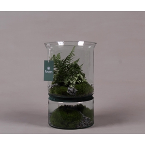 Green Bottle duopot XL met arrangement