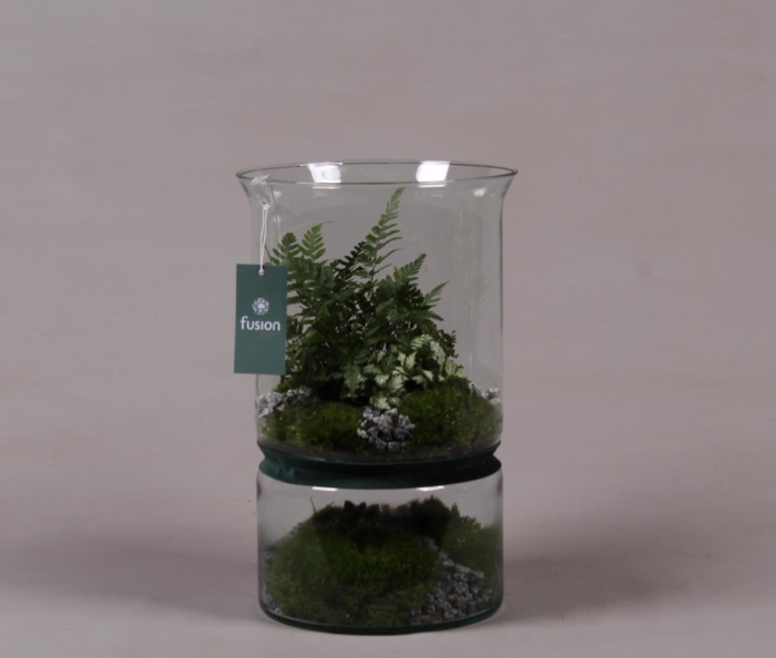 <h4>Green Bottle duopot XL met arrangement</h4>