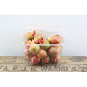 Sier Granaatappel Red Green Mix X20 P Box