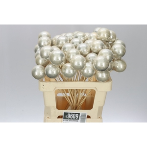 X-mas Balls Champagne Pearl