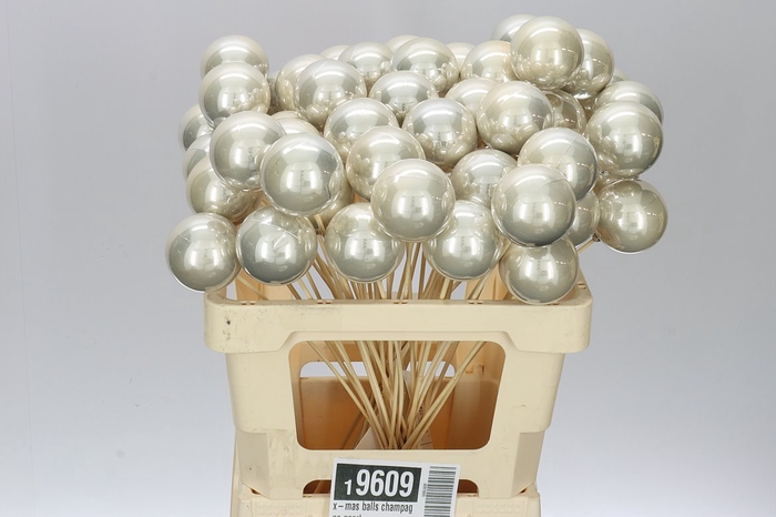 <h4>X-mas Balls Champagne Pearl</h4>