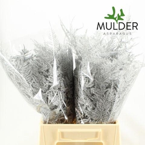 Asp Klb H% 1e Veren Silver