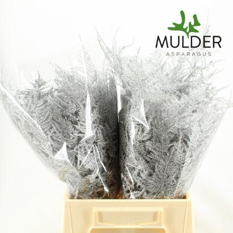 <h4>Asp Klb H% 1e Veren Silver</h4>