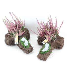arr4 Outdoor JS - Salim kruis x3 engel