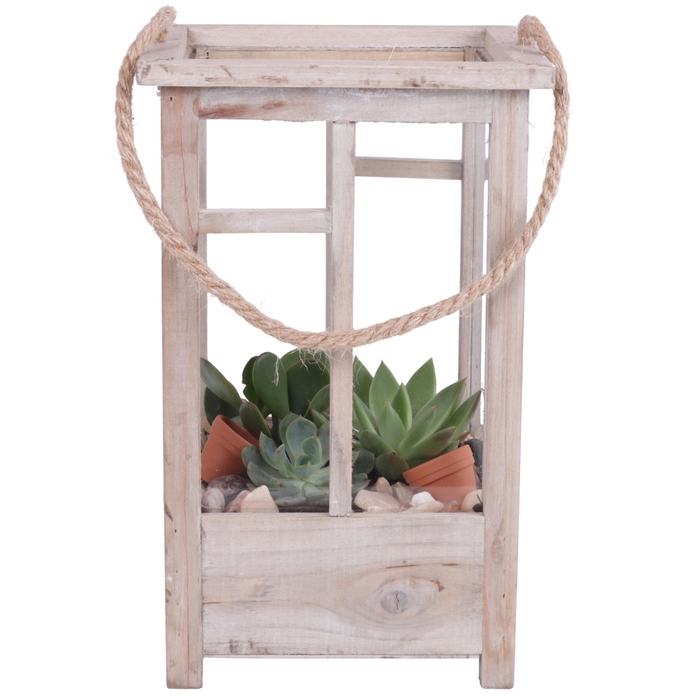 <h4>Yearround Arr. Succulent Wooden Lantern pot Brown mix/3 Ø19cm 3P</h4>