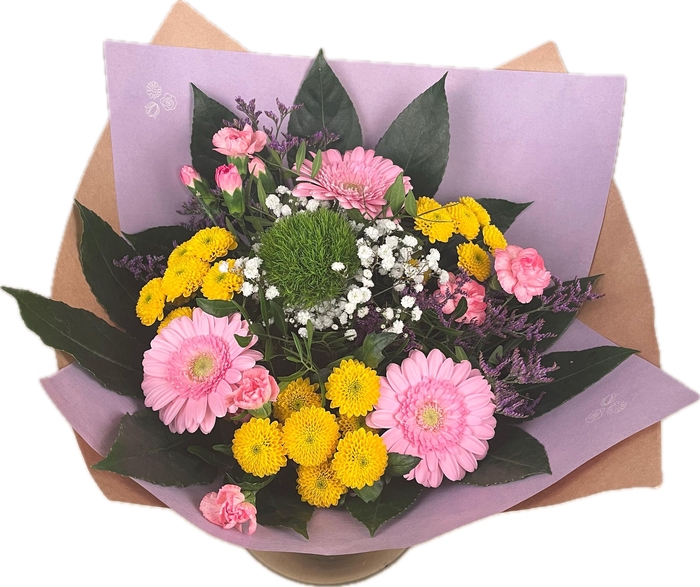 <h4>Bq MM-Blitz</h4>