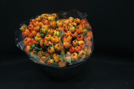 <h4>Ranonkel Extra Oranje</h4>