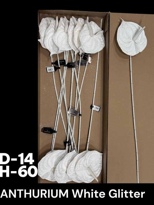 <h4>HUIS EN TUINDECO H%</h4>