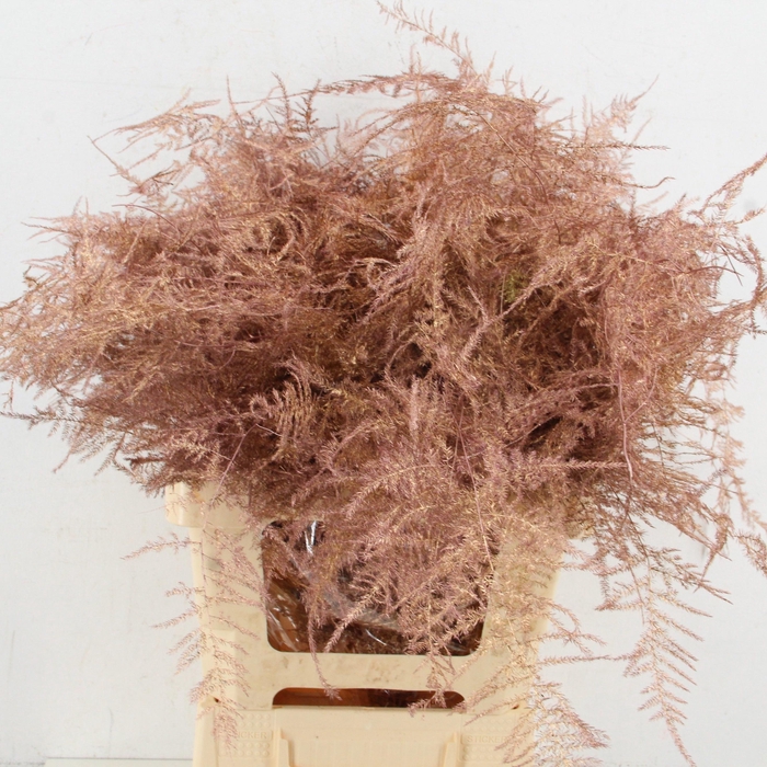 <h4>ASP OV KLB H%</h4>