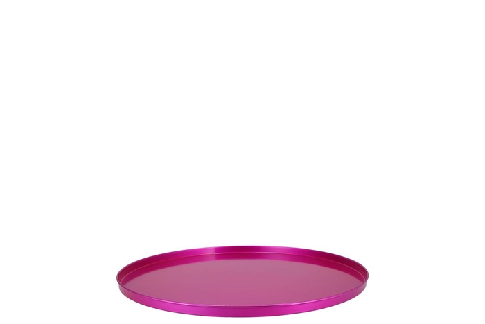 <h4>Coaster Jolly Fuchsia Tray Metal 26x2cm</h4>