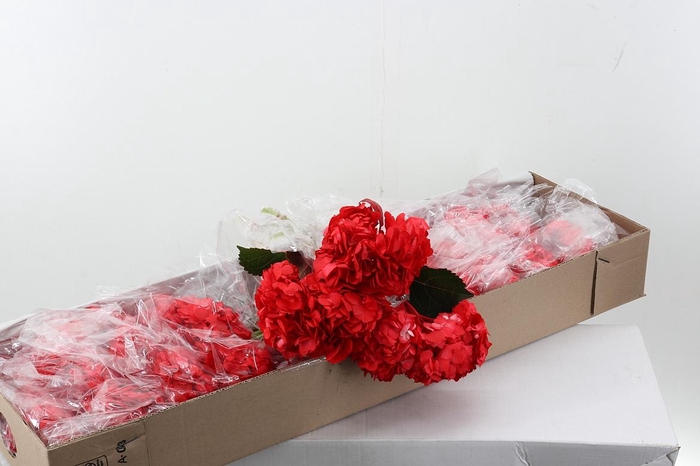 <h4>Hydr Cereza Select Box</h4>