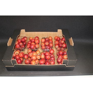 Appel Malus Rood X8