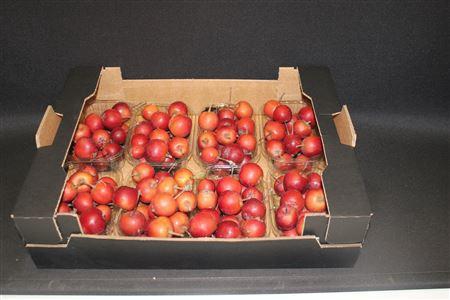 <h4>Appel Malus Rood X8</h4>