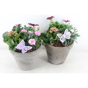 arr4 Outdoor MB - Ker. bloempot choco