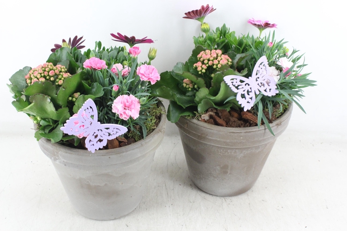 <h4>arr4 Outdoor MB - Ker. bloempot choco</h4>