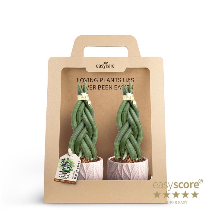<h4>2-PackLeaf Rosa Sans Braid P7</h4>