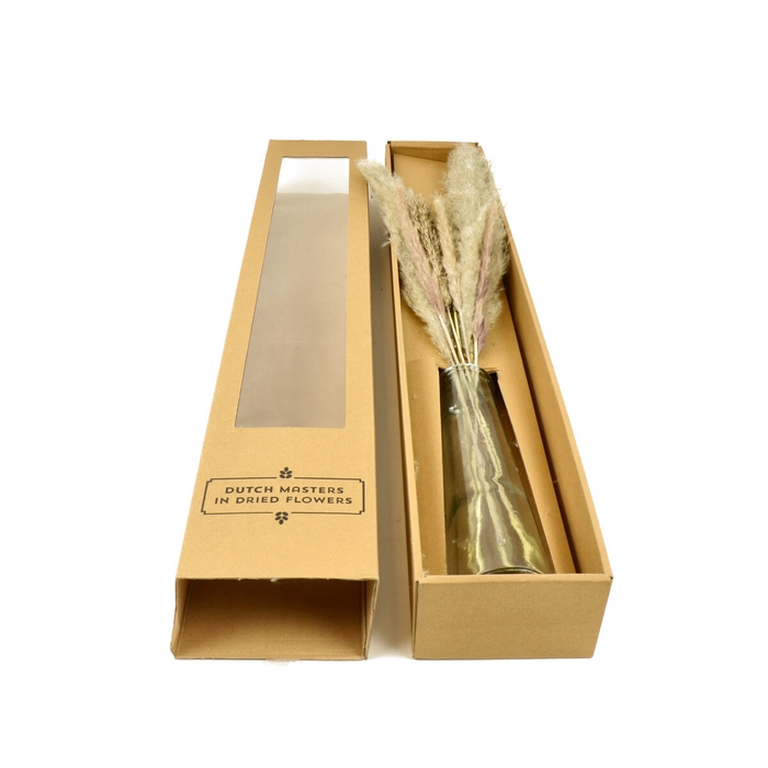 <h4>Droogbloem Glas d8*24.5cm/101cm</h4>