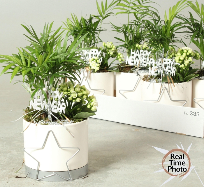 <h4>ARR KAMERPL</h4>