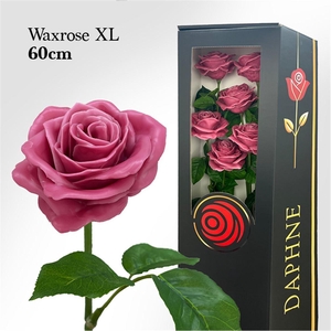 Wax Rose Xl Old Pink