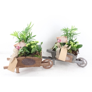 arr2 TD - Houten kruiwagen - wit