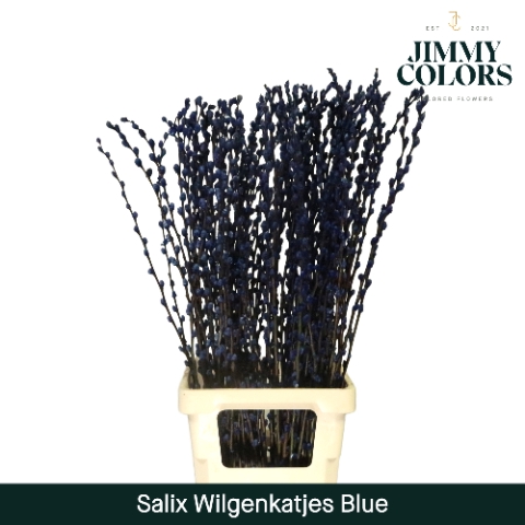 Salix Katjes L90 Klbh. Blauw