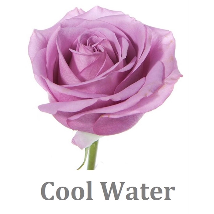 <h4>R Gr Cool Water!</h4>