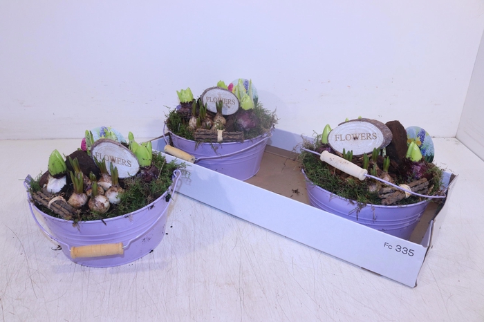 <h4>ARR BOL KNOLGEWAS</h4>