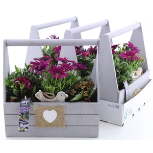 ARR TUINPLANTEN