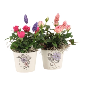 21696: Lovess arrangement