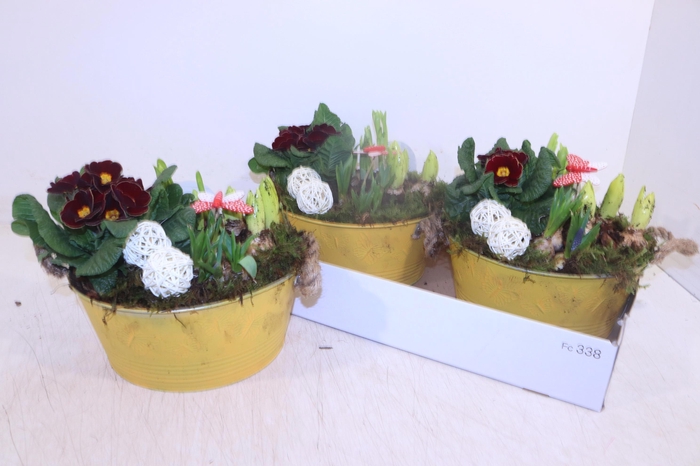 <h4>ARR TUINPLANTEN</h4>