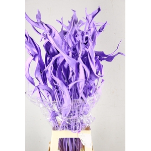 DF Strelitzia Leaf Milka