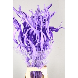 DF Strelitzia Leaf Milka