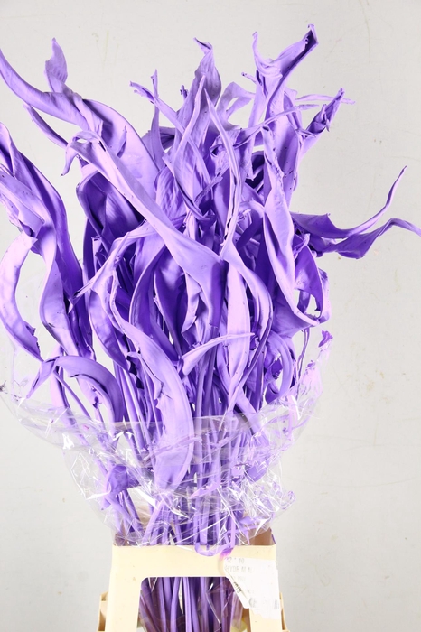 <h4>DF Strelitzia Leaf Milka</h4>