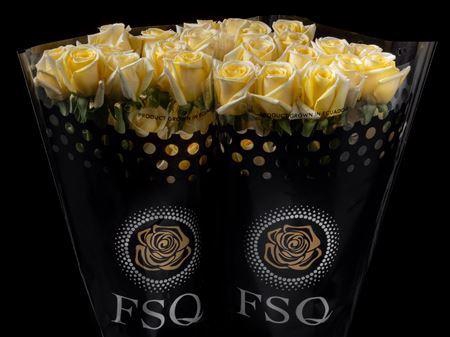 <h4>R Gr Sunny Days</h4>