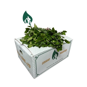 Salal Large Cougar