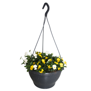 Hangpot 30 cm met waterreservoir Viola Cornuta Geel-Wit
