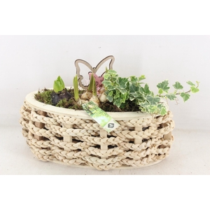 arr4 Bollenmix JS - Hout ovaal touw