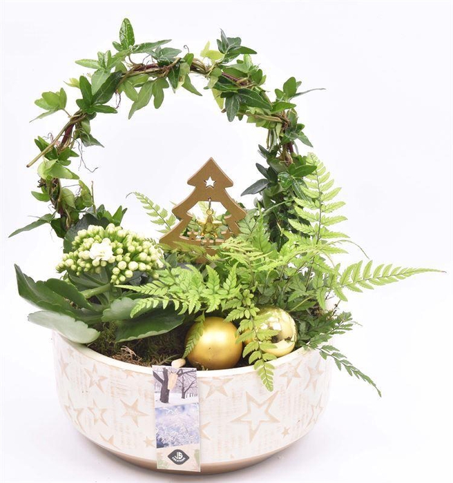 <h4>Cement schaal met ster 20.5cm</h4>