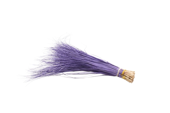 Beargrass Milka