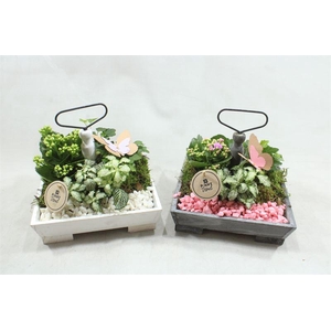 0442  ETAGERE 4 KANT