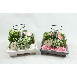 0442  ETAGERE 4 KANT