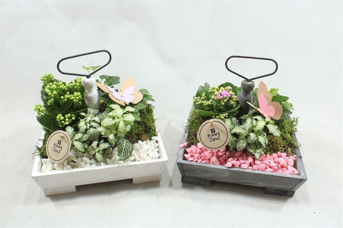 <h4>3459 ETAGERE 4 KANT</h4>