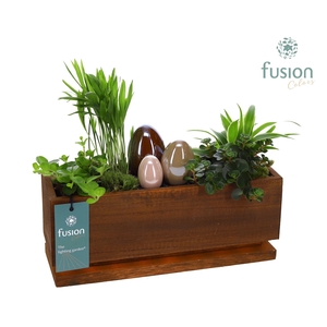 The Lighting Garden LED Medium Pasen met arrangement