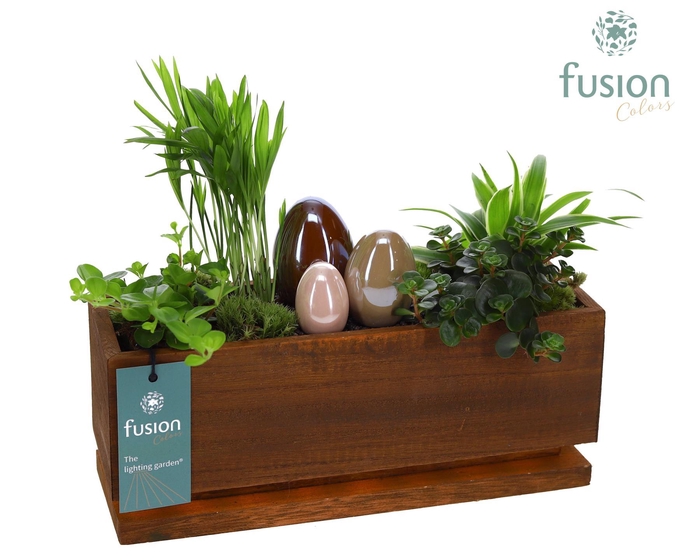 <h4>The Lighting Garden LED Medium Pasen met arrangement</h4>