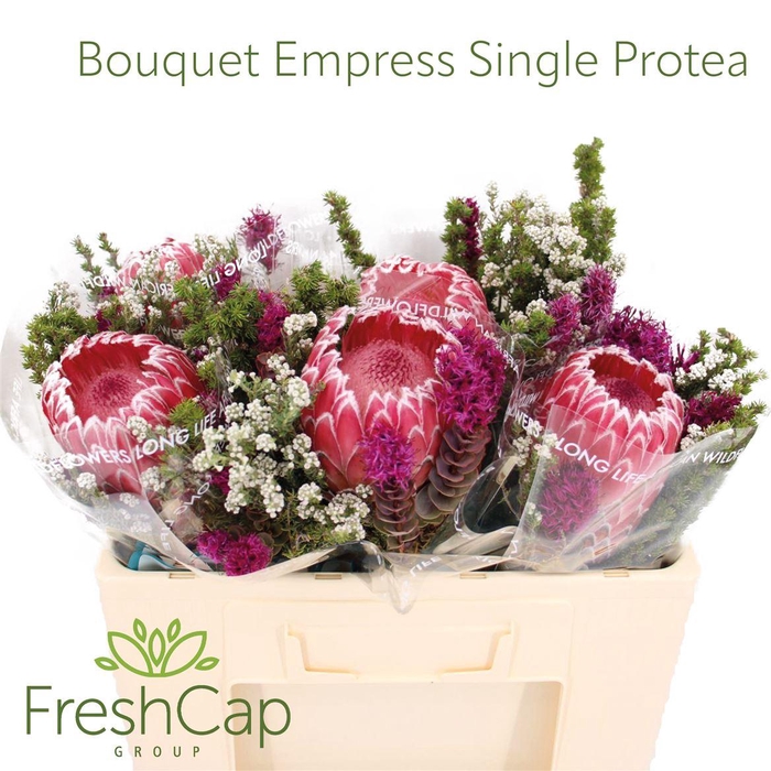 <h4>Bouquet Empress Single Protea</h4>