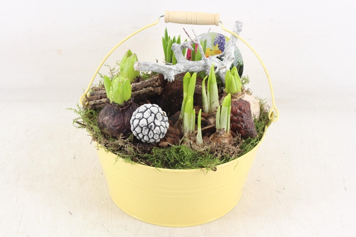 <h4>arr4 Bollenmix VL - Emmer yellow 250/2</h4>