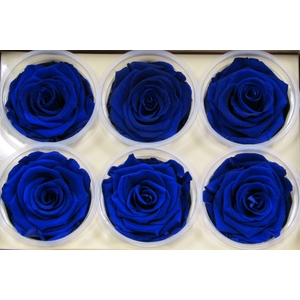 R Prs Blue Classy