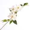 Clematis Spray Pink FL440354PNK